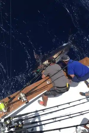 obx2014-fishing-picture-2