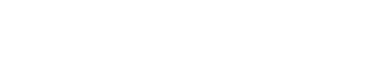 Guardian Protection white