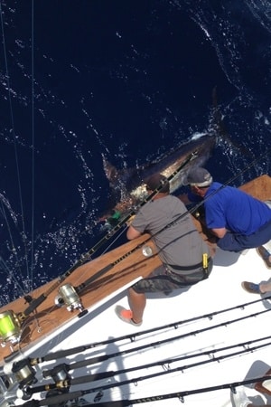 obx2014-fishing-picture-2